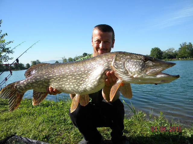 ISOLA DEL PESCATORE 31 mai. - 1 iun. - dscn16181.JPG
